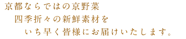 いち早く皆様にお届け致します